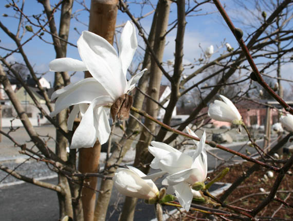 Dienstag, 19. April