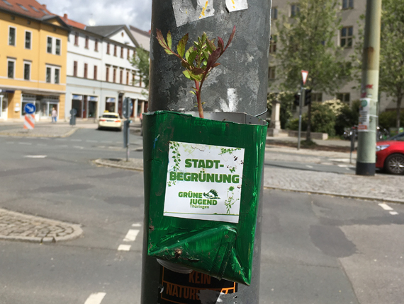 Montag, 13. Mai